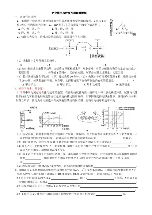 光合作用与呼吸作用题例