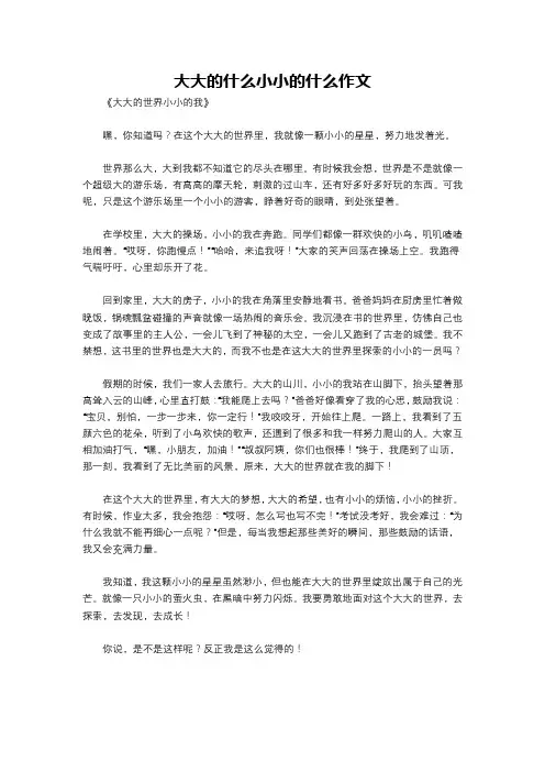 大大的什么小小的什么作文