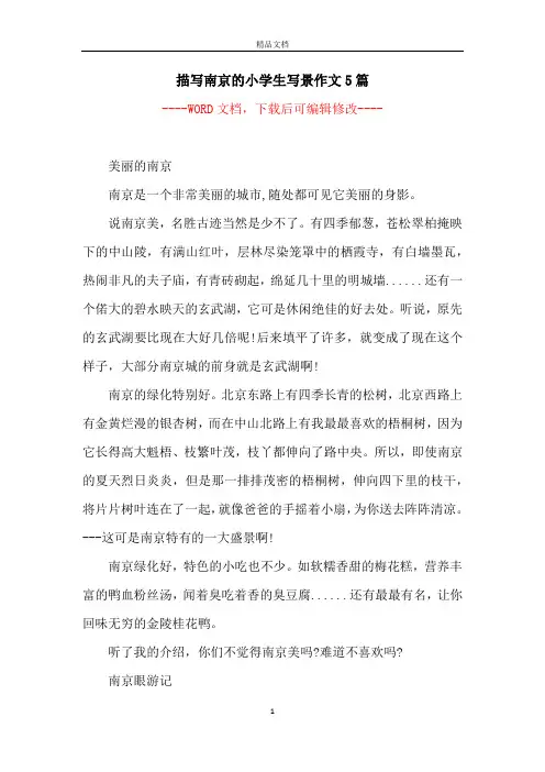 描写南京的小学生写景作文5篇
