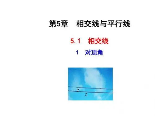 新华东师大版七年级数学上册《5章 相交线与平行线  5.1 相交线  对顶角》优质课课件_0