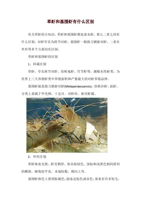 草虾和基围虾有什么区别