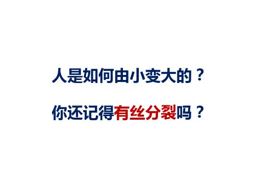 必修二 第二章 第一节 减数分裂和受精作用