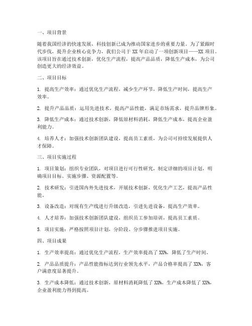创新项目总结范文