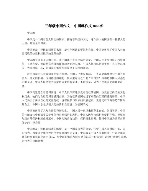 三年级中国作文：中国魂作文800字