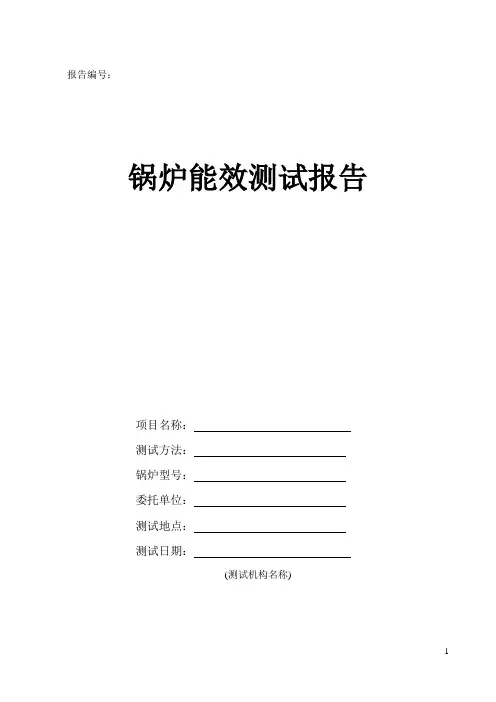 锅炉能效测试报告(格式)