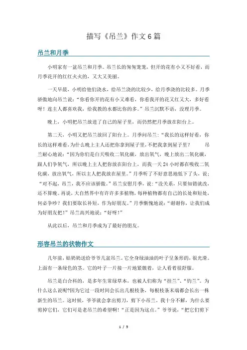 描写《吊兰》作文6篇