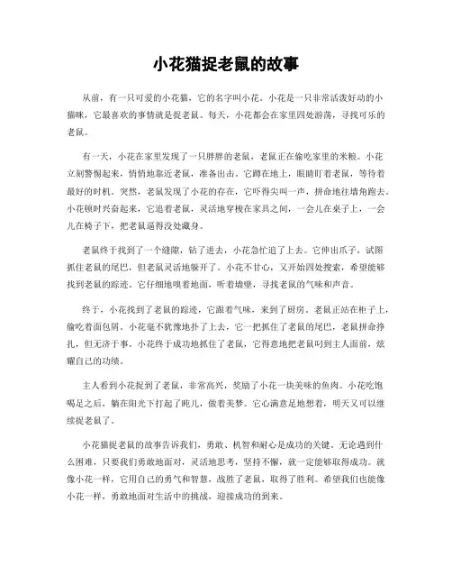 小花猫捉老鼠的故事