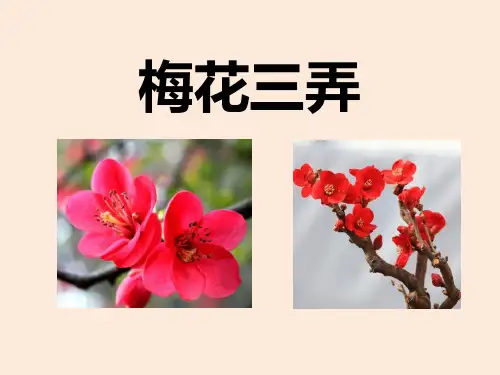 梅花三弄_精品文档
