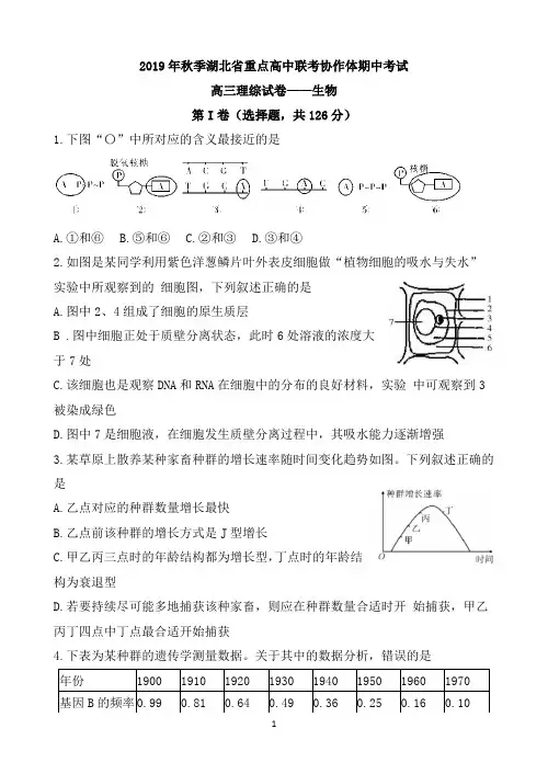 湖北省普通高中联考协作体2020届高三上学期期中考试 理科综合 Word版含答案