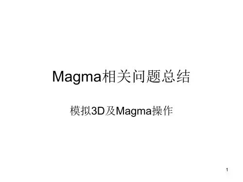 Magma操作流程