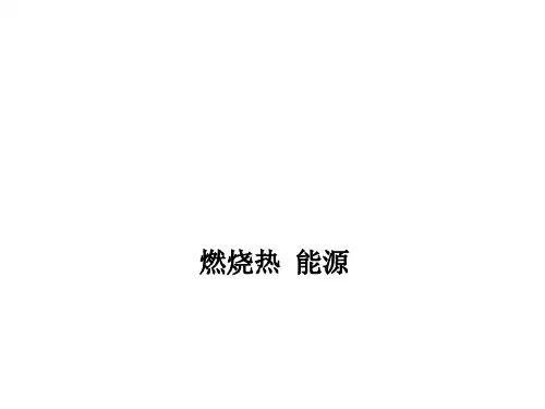 燃烧热、能源 课件