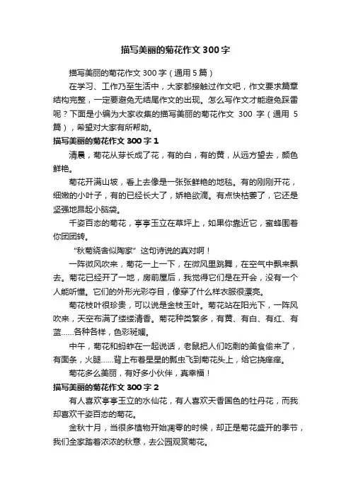 描写美丽的菊花作文300字（通用5篇）