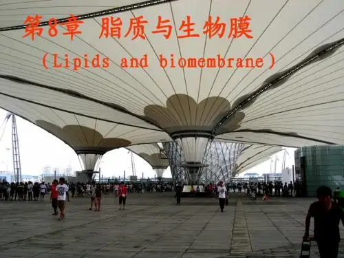 第8章脂质和生物膜