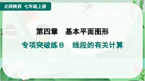 2024年北师大版七年级上册数学复习专项突破练8 线段的有关计算