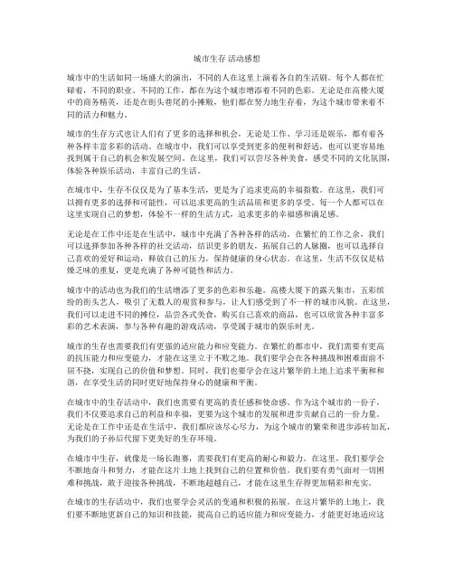 城市生存 活动感想
