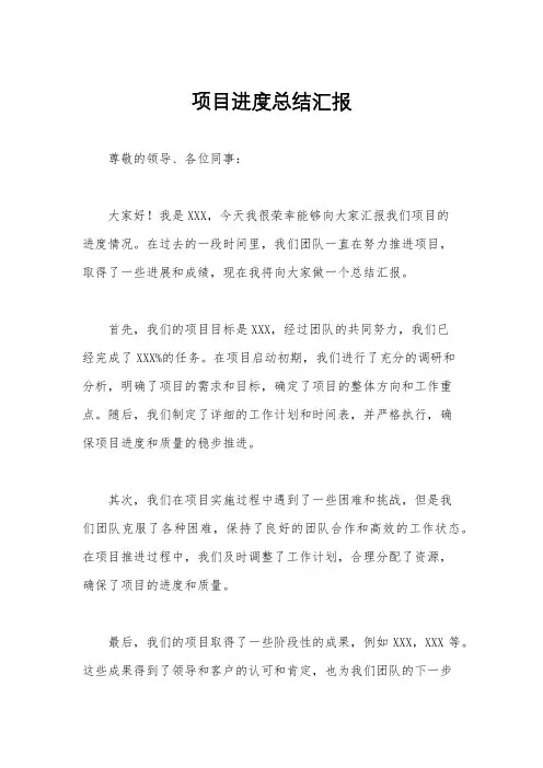 项目进度总结汇报