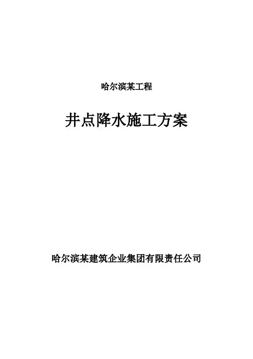 某工程井点降水施工组织设计方案