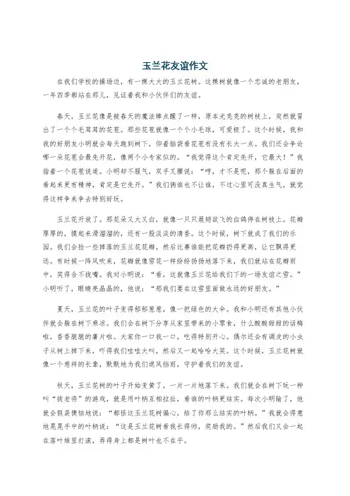 玉兰花友谊作文