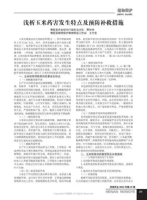 浅析玉米药害发生特点及预防补救措施