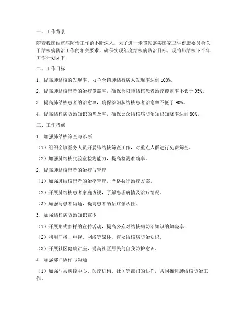 肺结核下半年工作计划
