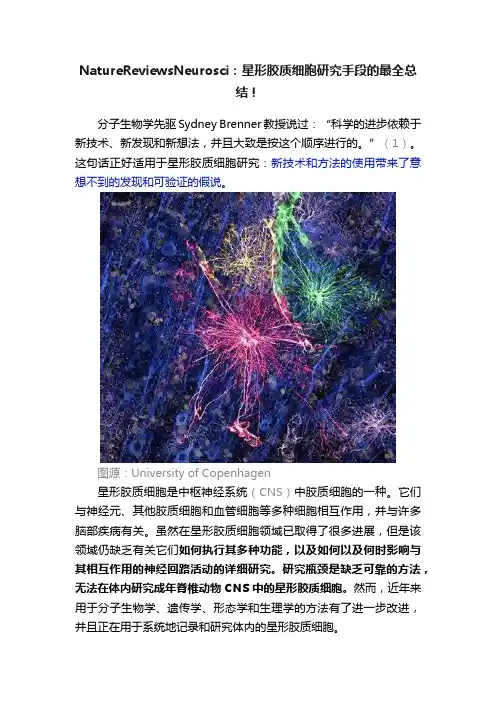 NatureReviewsNeurosci：星形胶质细胞研究手段的最全总结！
