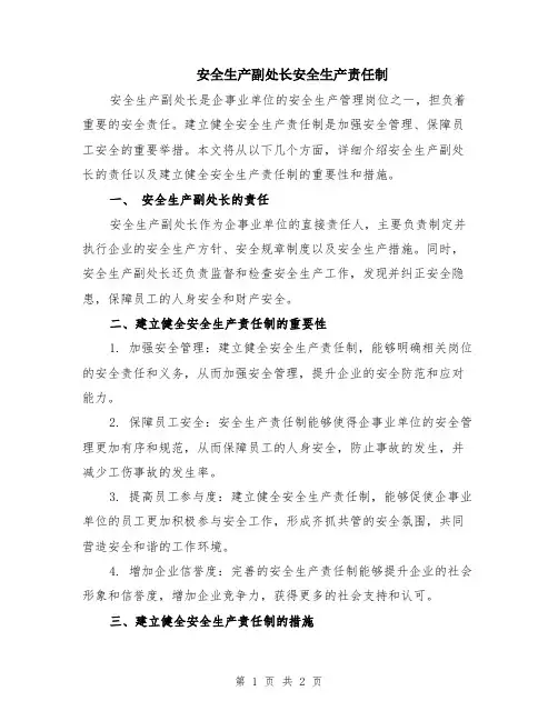 安全生产副处长安全生产责任制