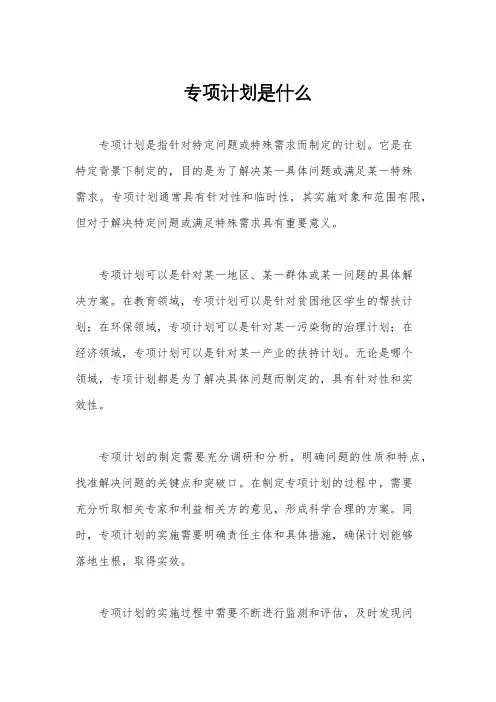 专项计划是什么