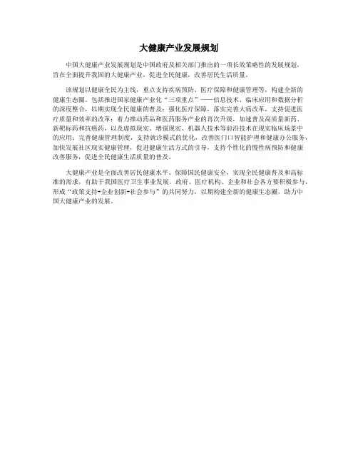 大健康产业发展规划
