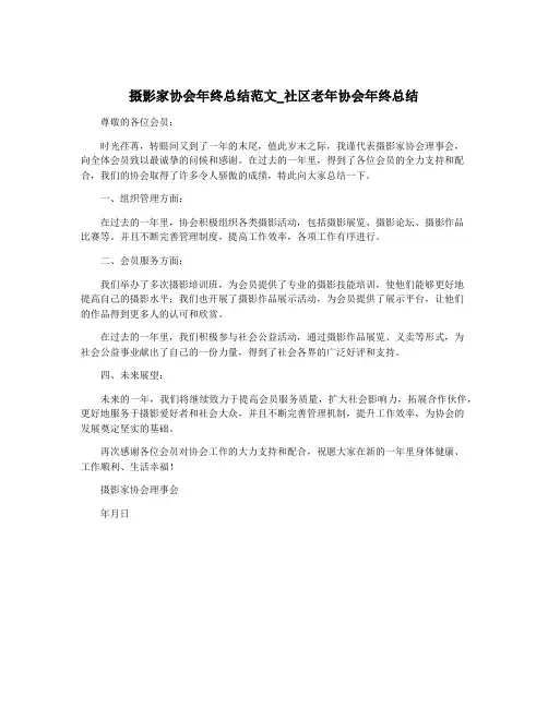 摄影家协会年终总结范文_社区老年协会年终总结