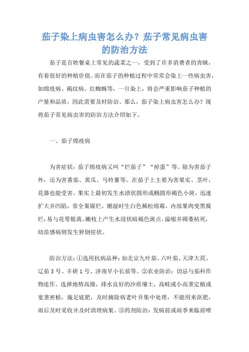 茄子染上病虫害怎么办？茄子常见病虫害的防治方法