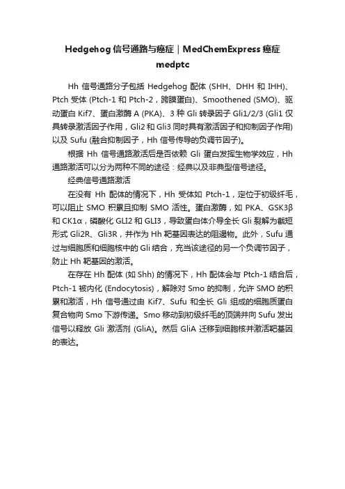 Hedgehog信号通路与癌症｜MedChemExpress癌症medptc
