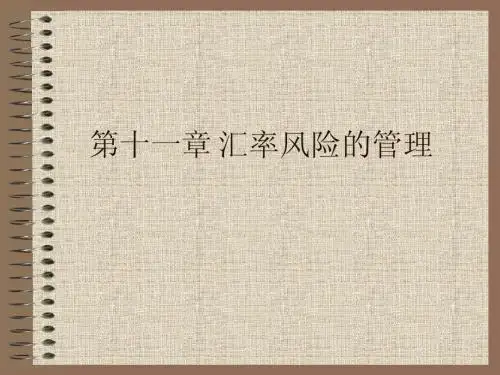 第四章 外汇风险管理
