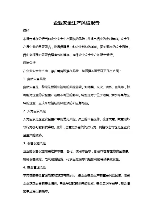 企业安全生产风险报告