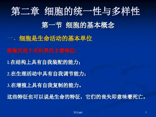 细胞生物学pptPPT课件