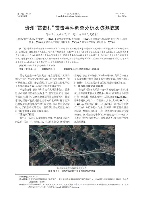 贵州“雷击村”雷击事件调查分析及防御措施