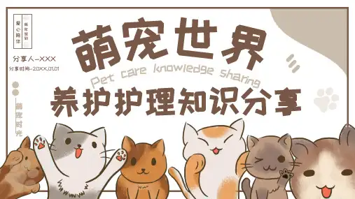 宠物养护护理知识培训课件PPT