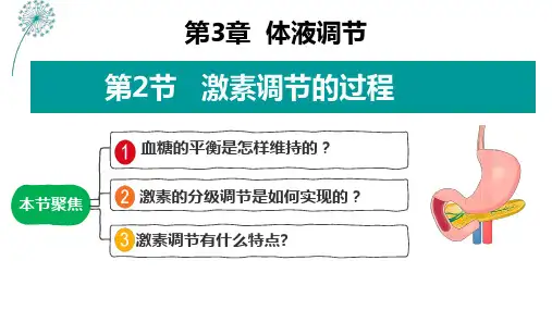 人教版新教材生物选择性必修一《激素调节的过程》