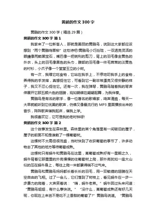 黄鹂的作文300字（精选29篇）