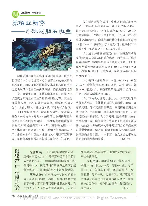 养殖业新秀——珍珠龙胆石斑鱼