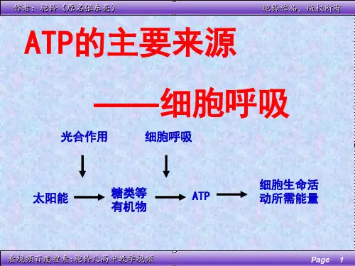 细胞呼吸 (共51张PPT)