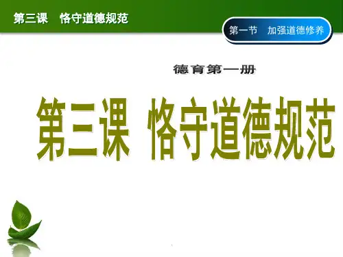 恪守道德规范ppt课件