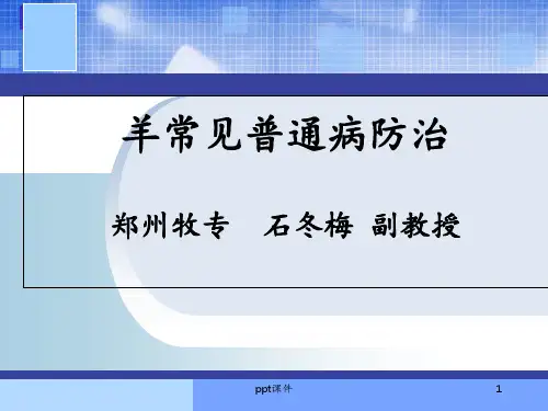 羊常见普通病防治 ppt课件