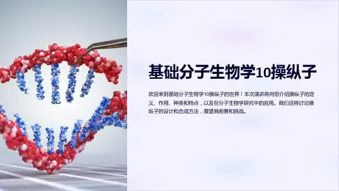 基础分子生物学10操纵子