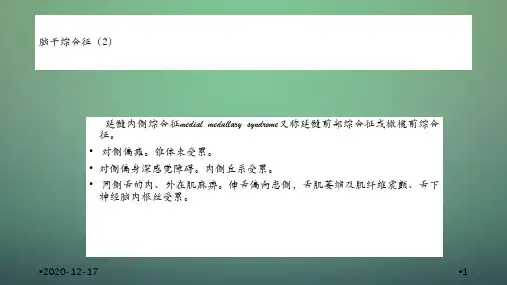 脑干综合征大全干货分享