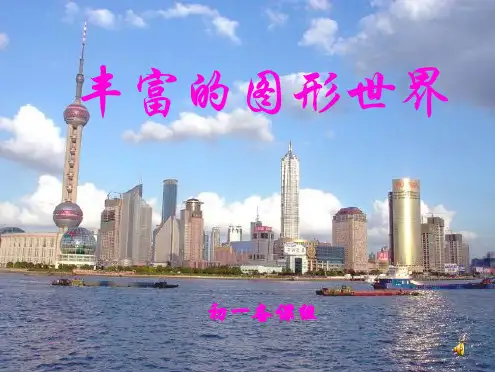 丰富的图形世界(共59张PPT)