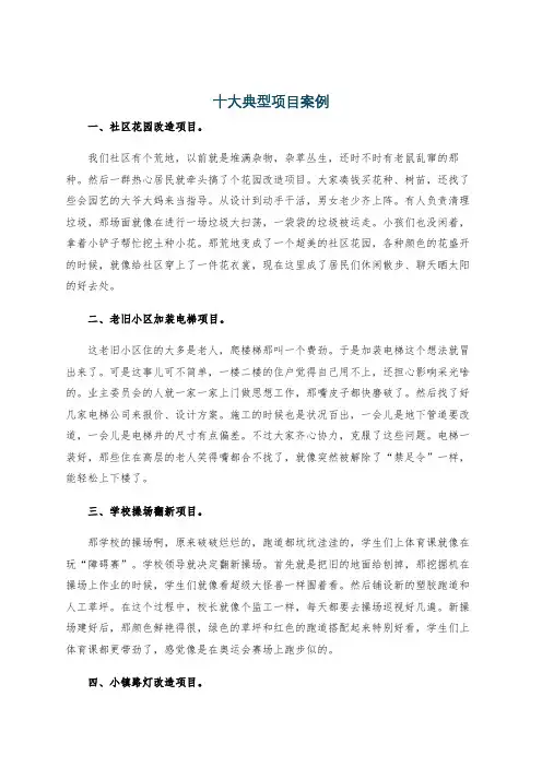 十大典型项目案例