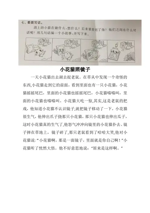 小花猫照镜子(看图写话)