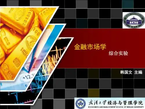 金融市场学综合实验-86页文档