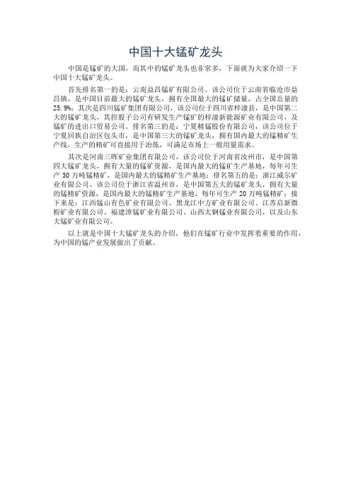中国十大锰矿龙头