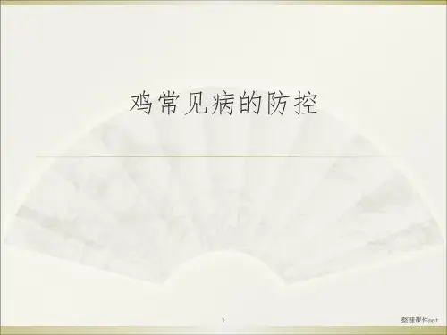 《常见鸡病防治》PPT课件